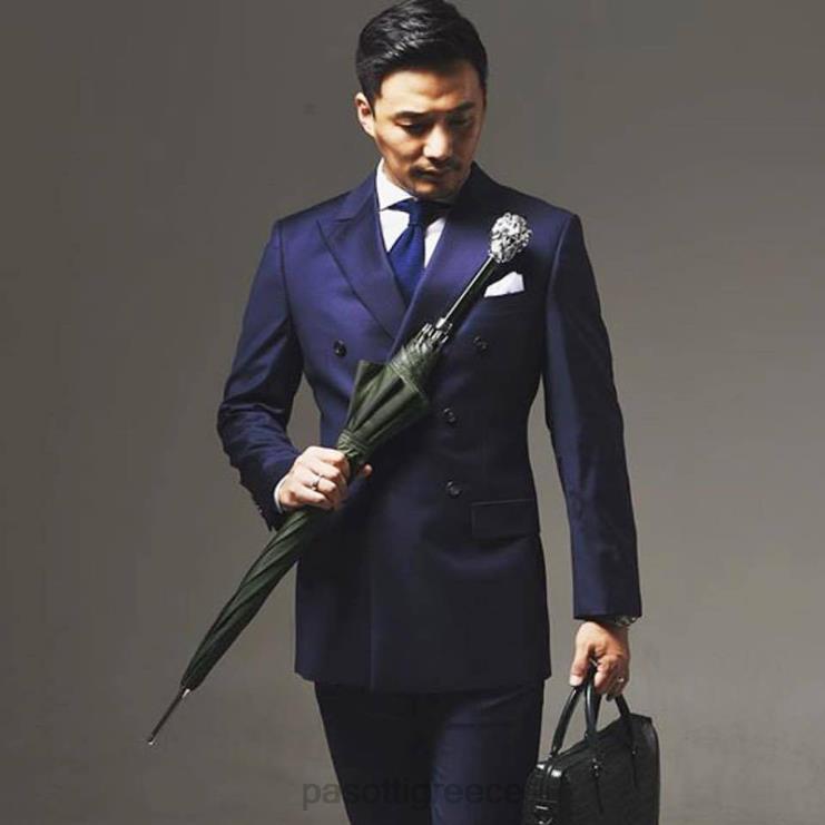 ομπρέλα | PASOTTI 478 6768-6 w37pv - πράσινη ομπρέλα ασημί λαβή λιονταριού 2N6B879 άνδρες